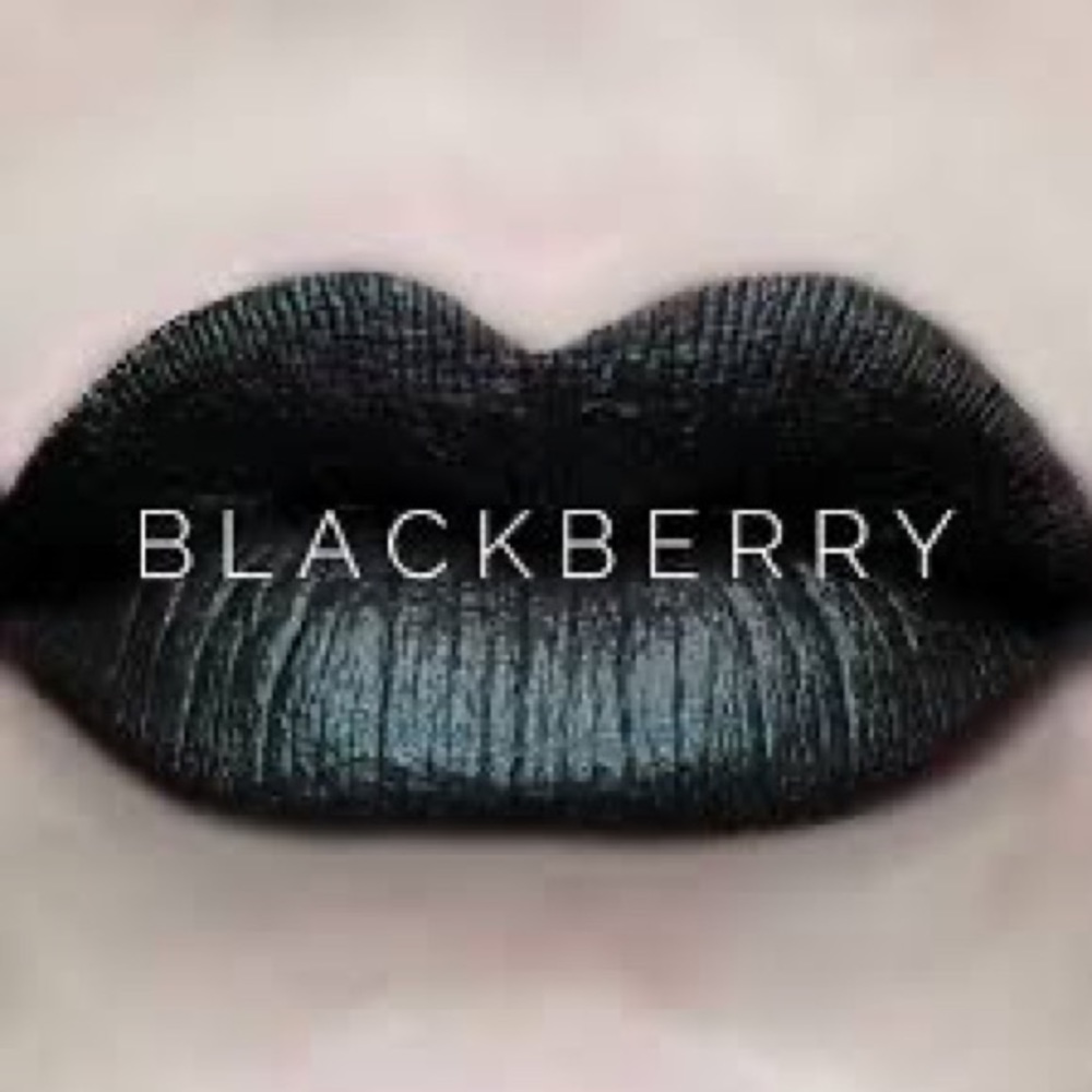 💞HP💞Lipsense by Senegence. Shade: Blackberry.NWT.